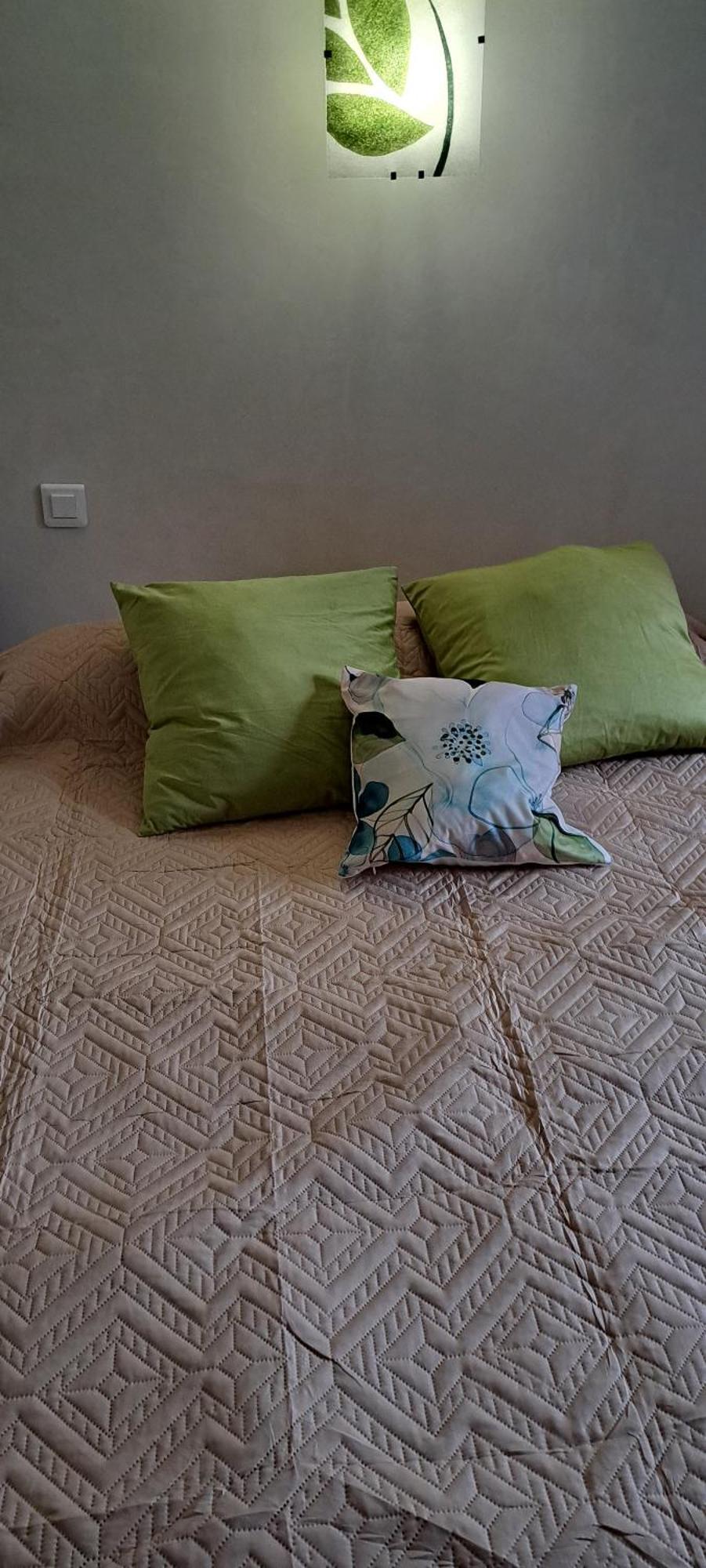 Chez Maxime Apartment Fraissinet-de-Fourques ภายนอก รูปภาพ